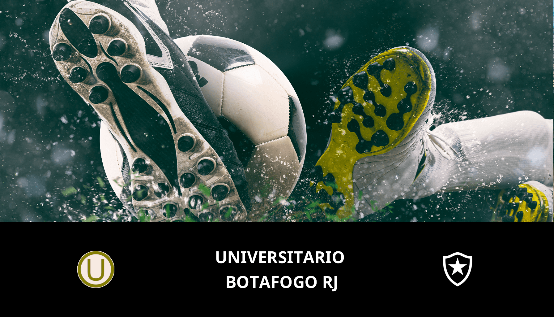 Previsione per Universitario VS Botafogo il 17/05/2024 Analysis of the match